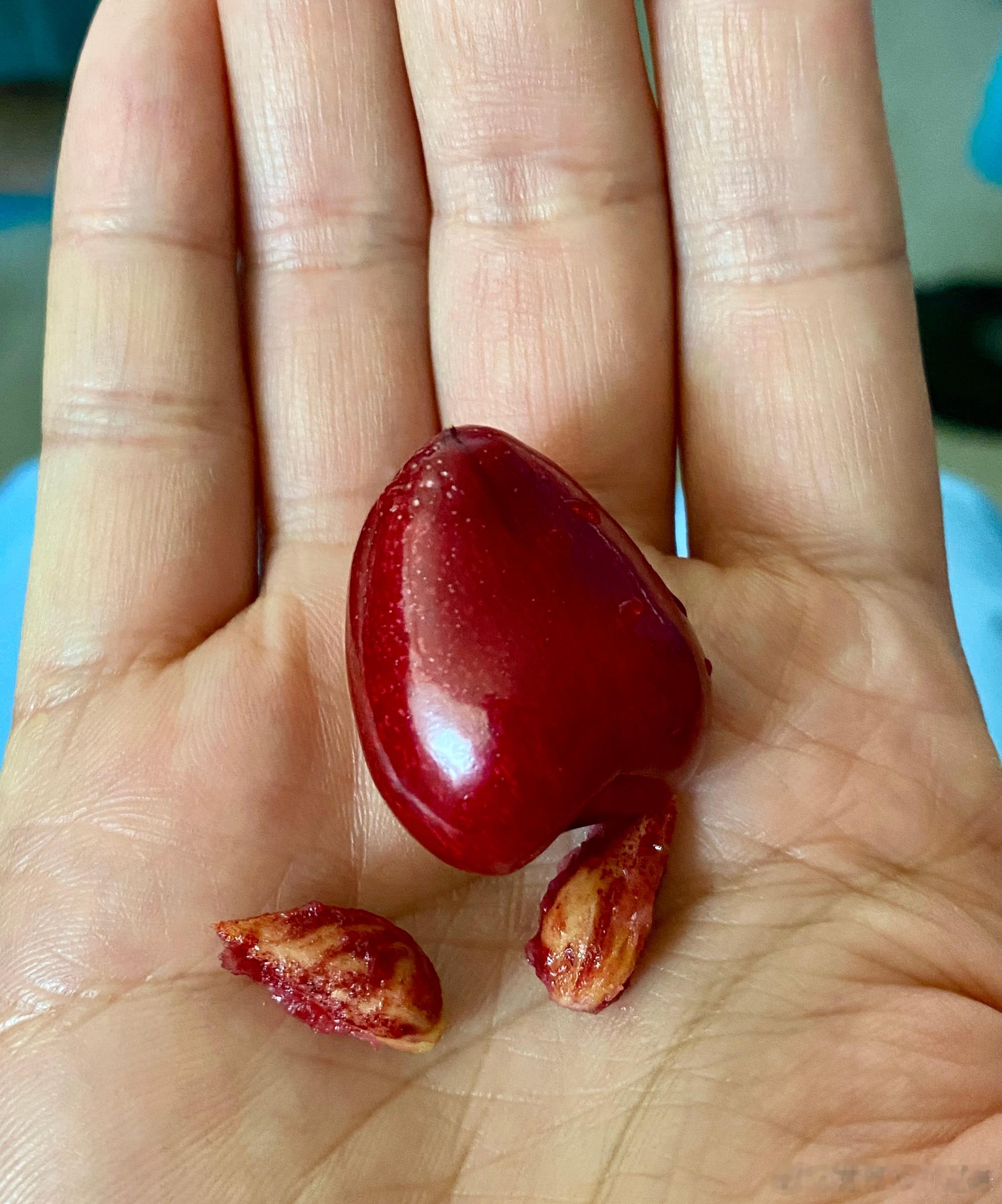 中午被同事们投喂的樱桃🍒，灰常可爱，个个带头顶的小揪揪，就连核都是尖尖的[哈哈