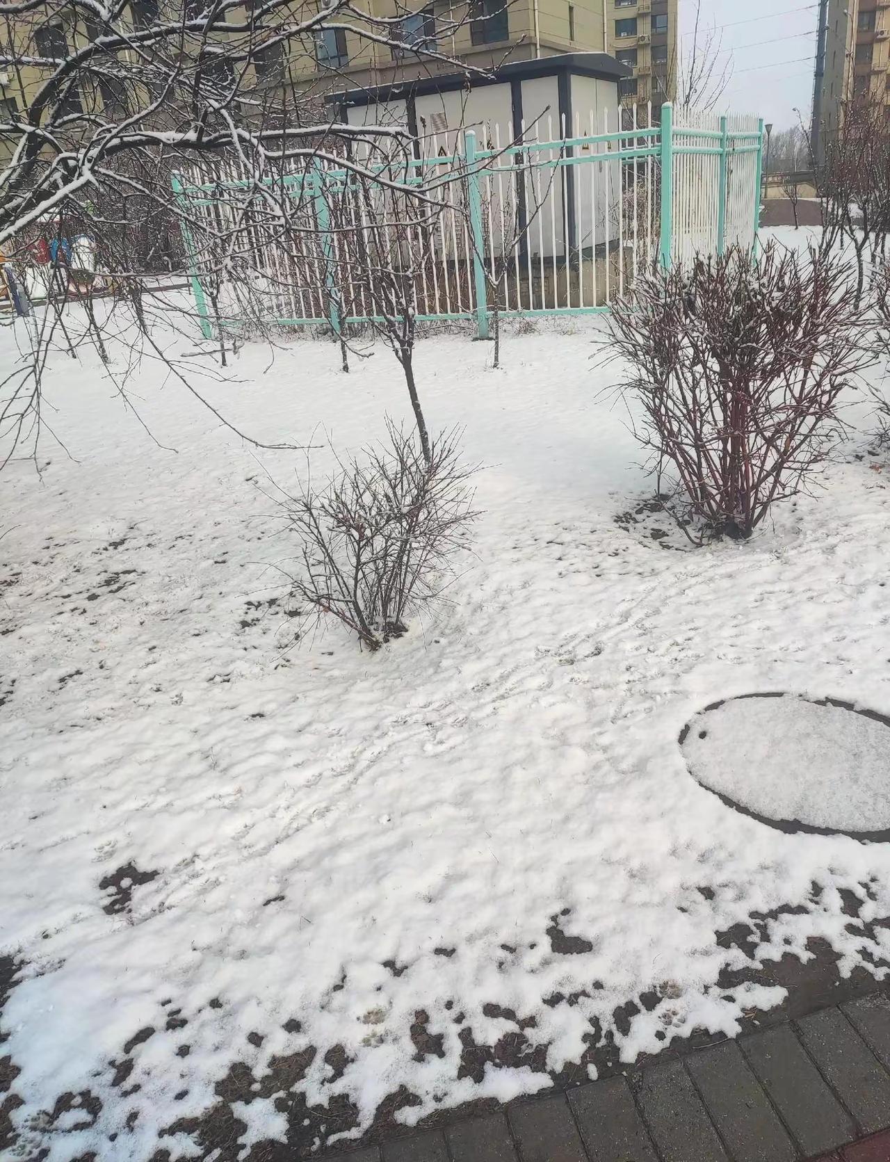 吉林下雪了  你过的好吗润观 刘浩存 [图片来源@系小韩吖（备战中考） ]