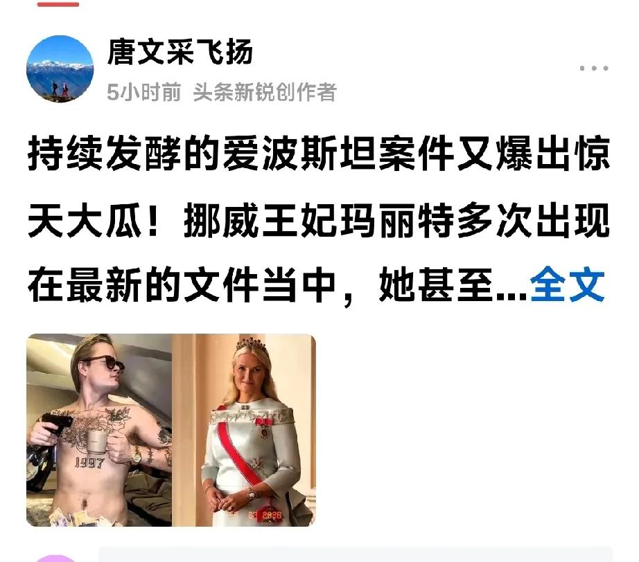 最近爱泼斯坦案持续发酵，左棍夹头哈粉阿奴黄左黄马斯黄精阿们于是兴奋异常，个个如同