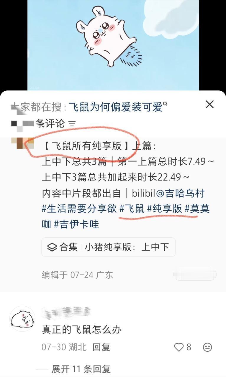 在飞鼠纯享版视频评论区看见这坨……到底想干嘛，只想欣赏萌萌猪儿23630 