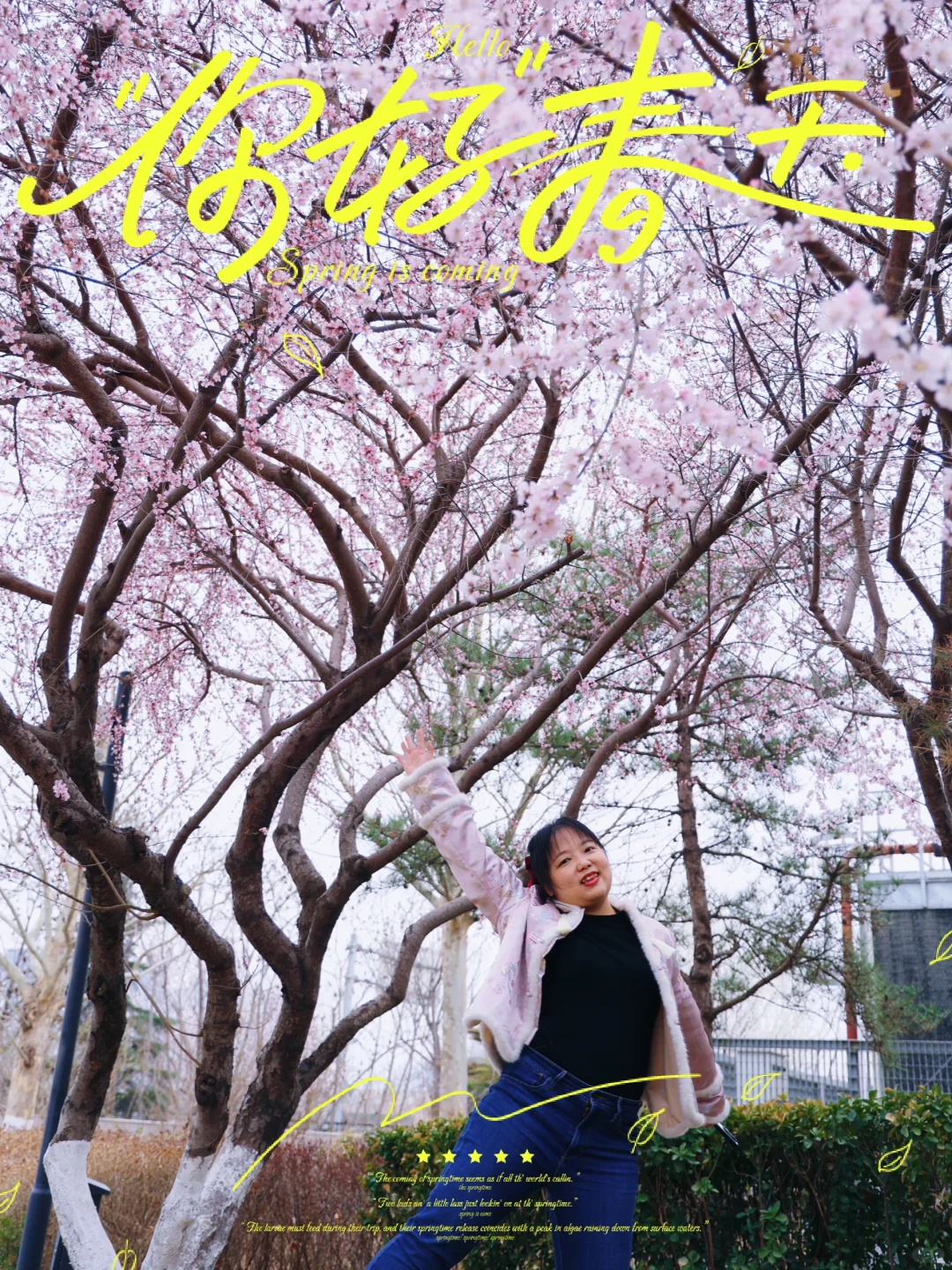 此刻北京春和景明|赏花🌸泡泉♨️不负好春光