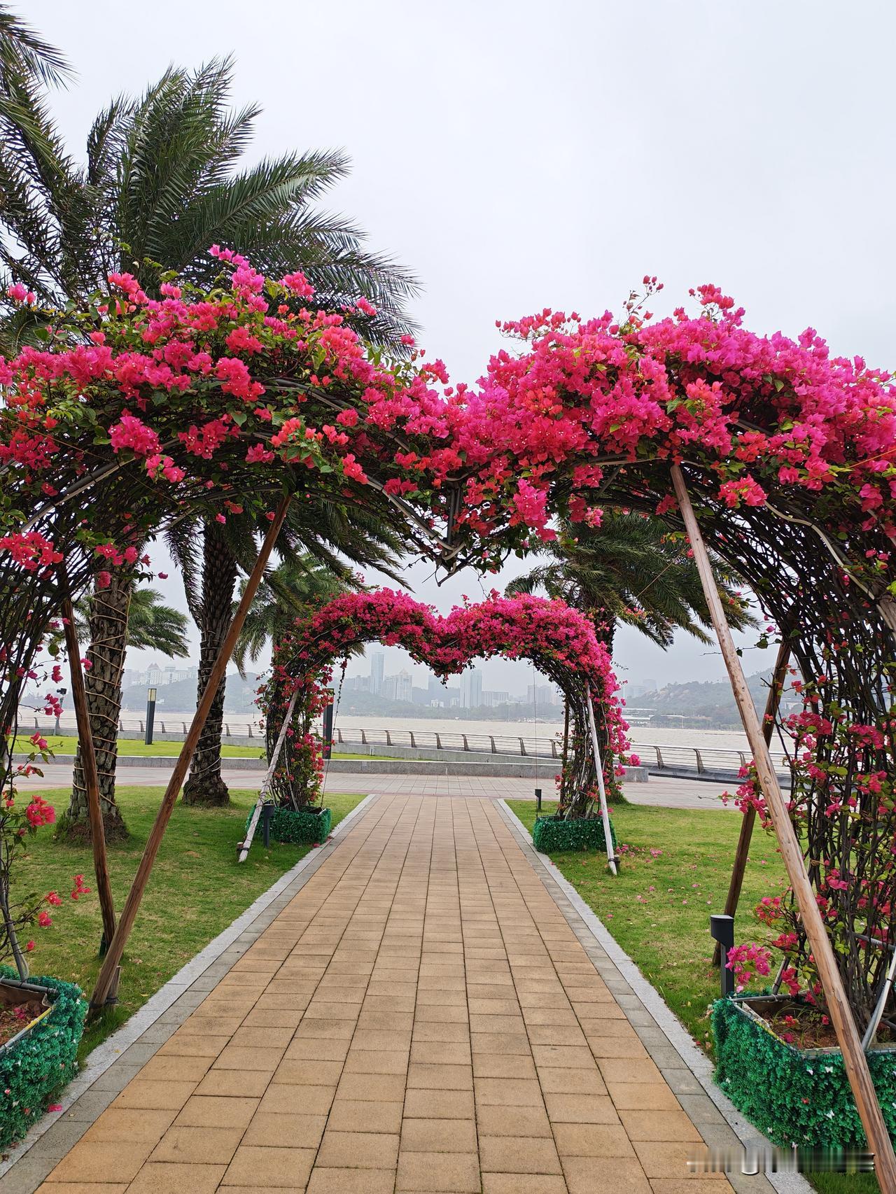 上午去民政局，没有拍打，下午补上。
     中午回来吃了一大碗饭，高兴，休息了