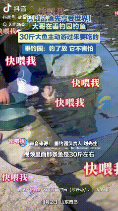 科学也没法解释。山东青岛，一位大哥正坐着钓鱼，水里突然冒出一条30斤重的大鱼，它