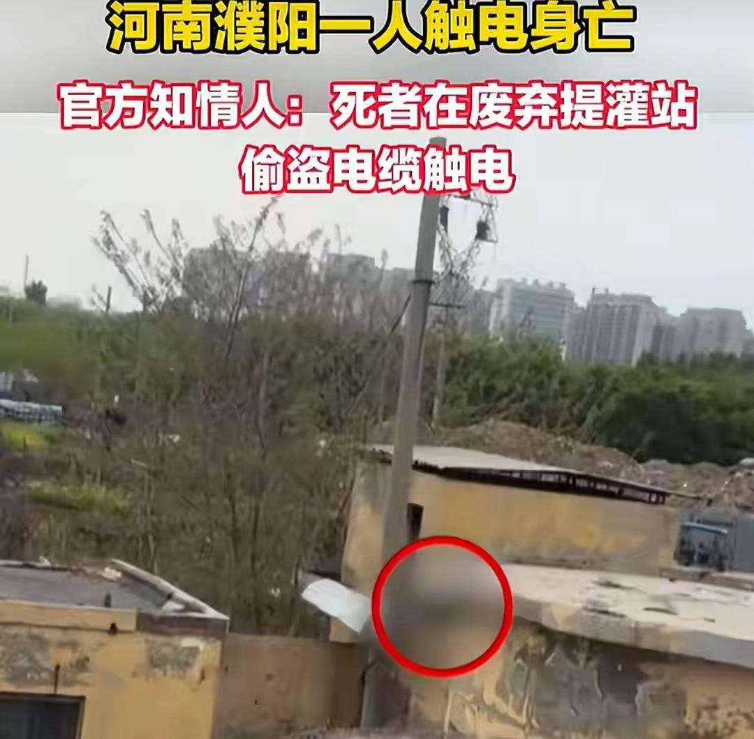 悲剧！河南濮阳一男子偷盗电缆，触电身亡！

2026年4月13日，河南濮阳一男子