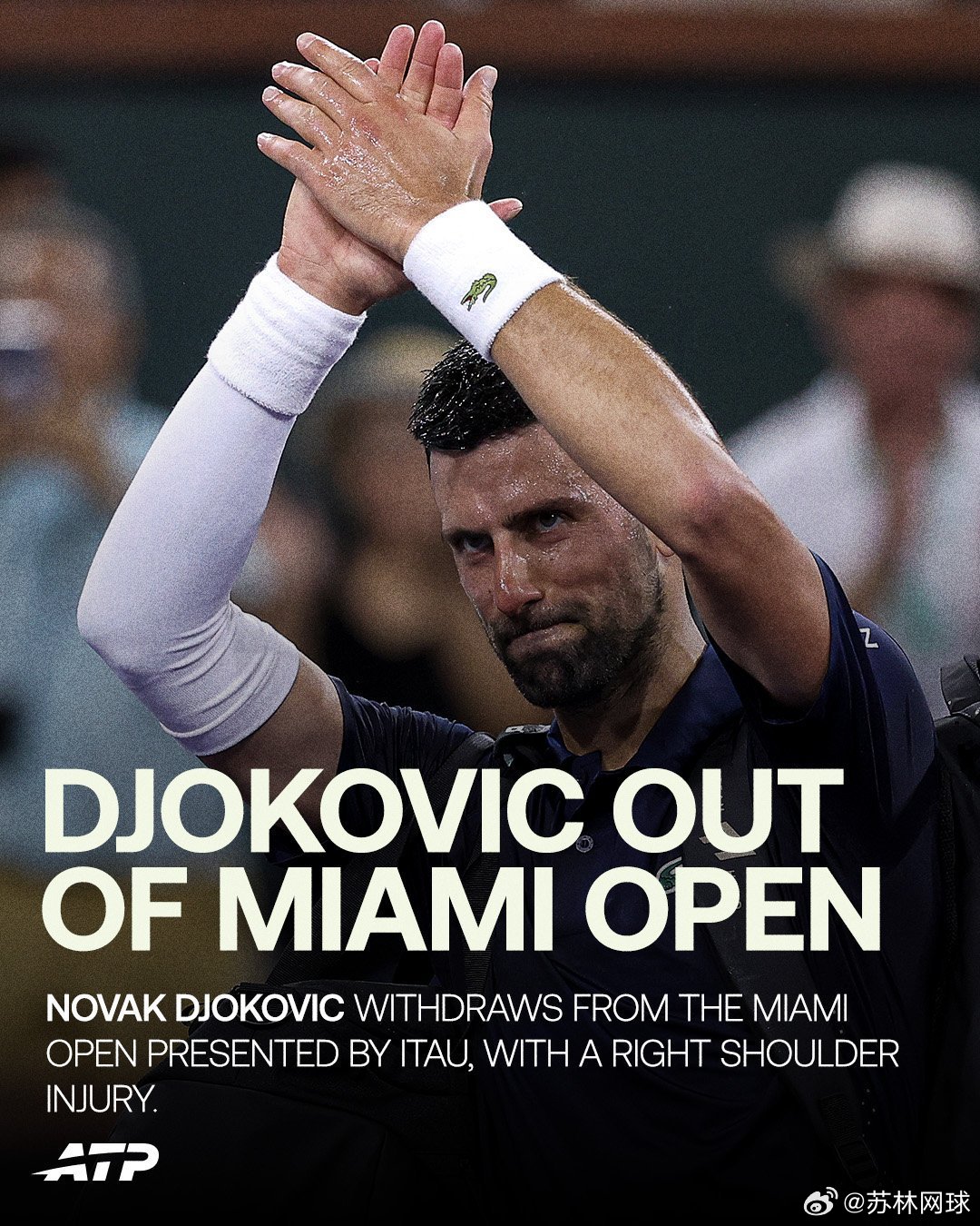 重磅消息德约科维奇因为右肩伤势退出迈阿密大师赛。希望早日康复。网坛风云德约科维奇