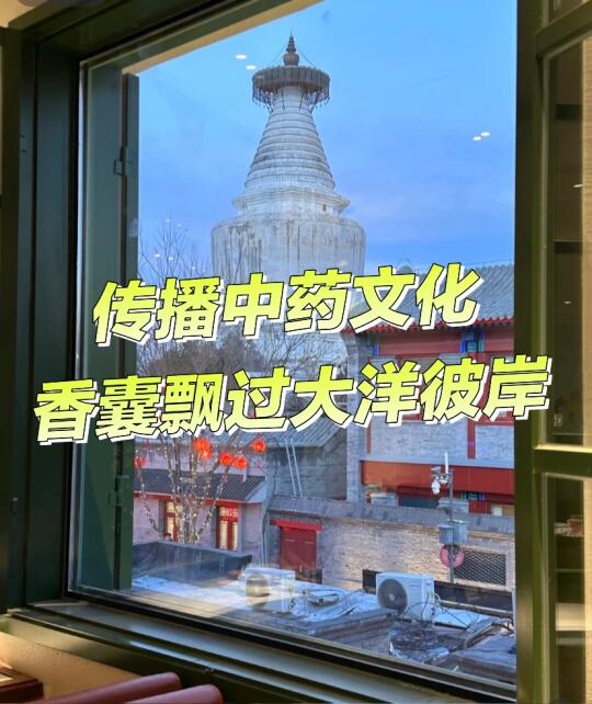 给外国新朋友做了一个“白花蛇舌草”香囊