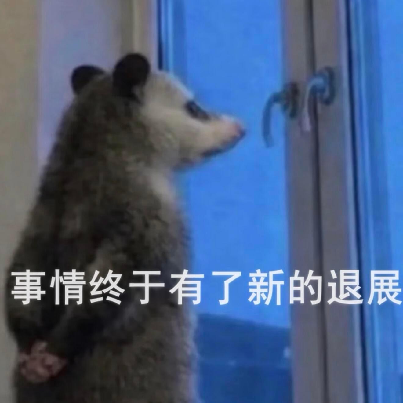 我歇会，你们也是别频f了伤耗