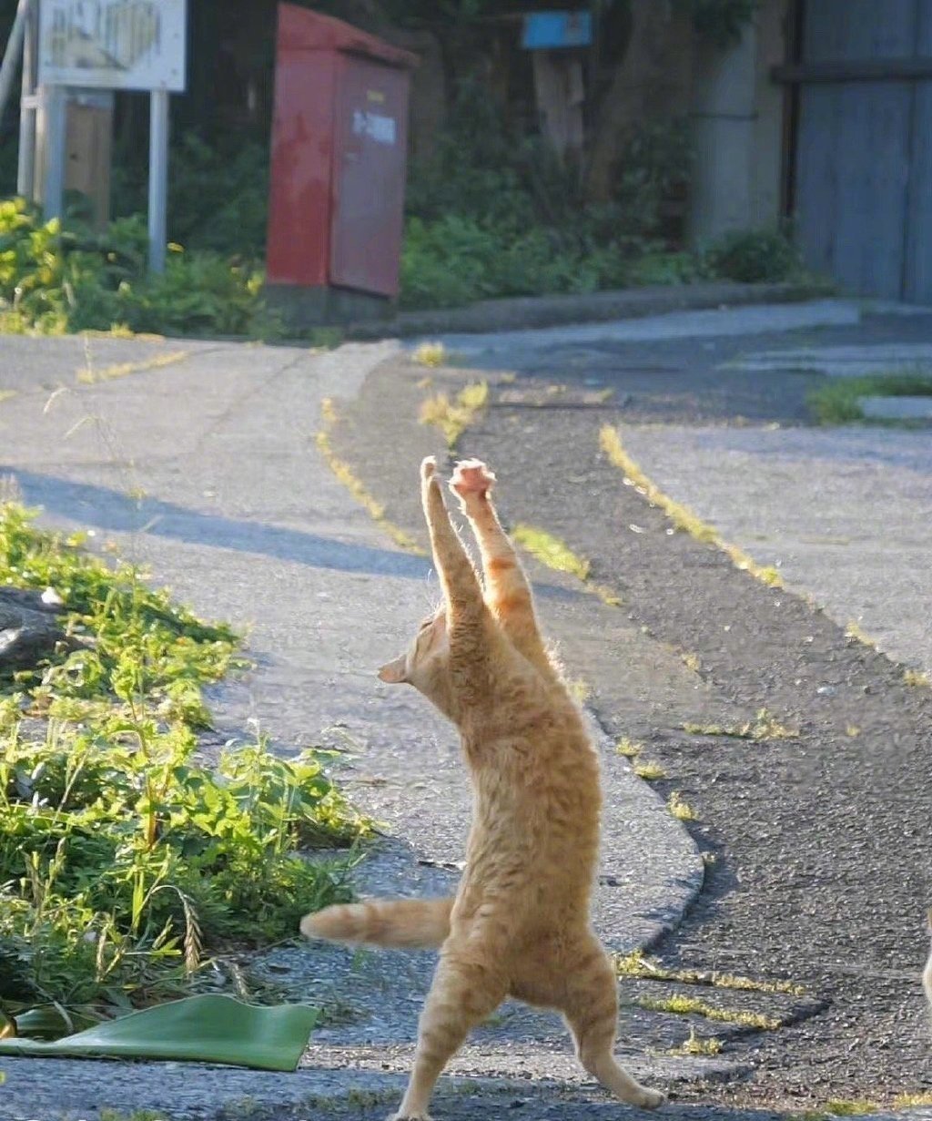 你被看中，好运，发财 ​​​
