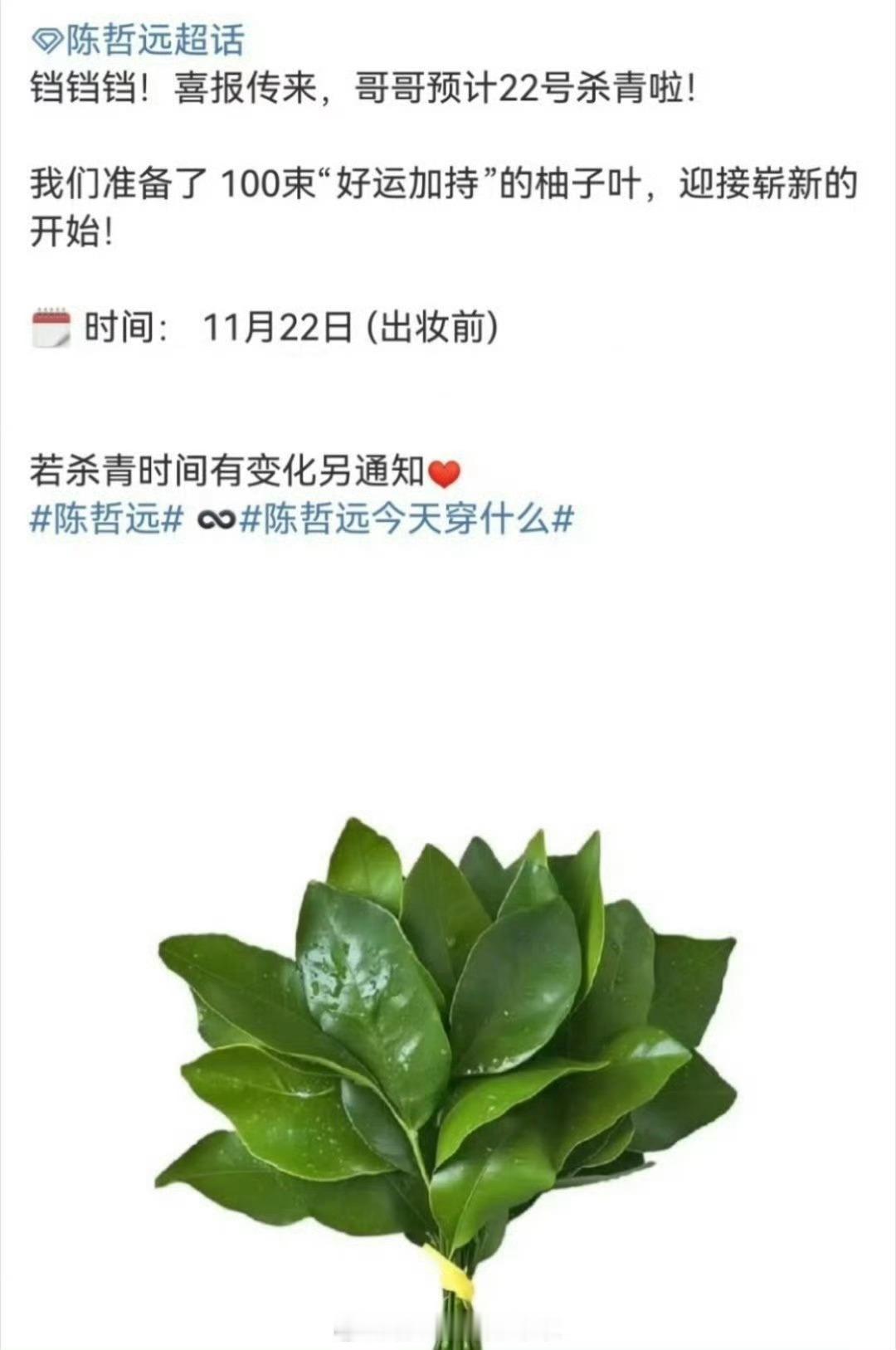 陈哲远江山为聘杀青应援，哈哈，绝了绝了 