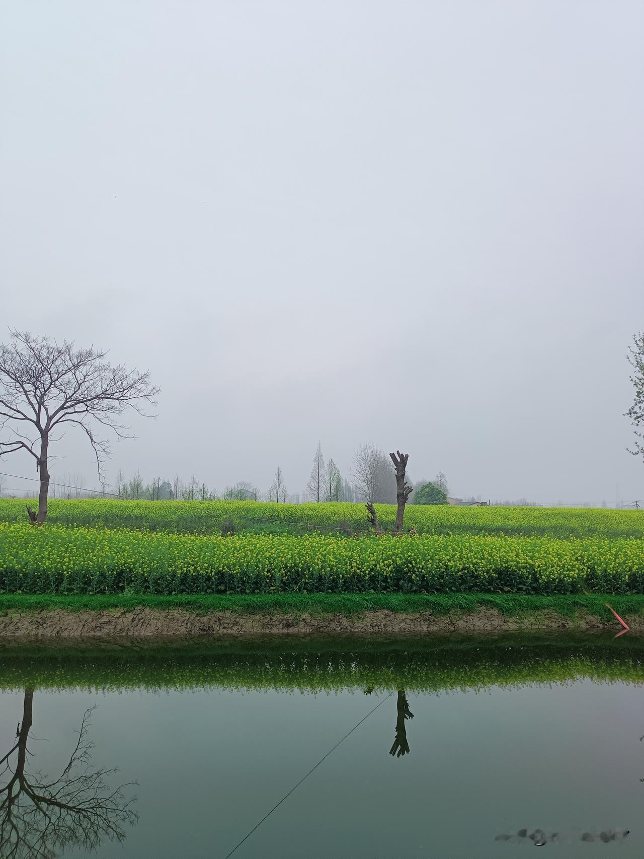 忙有所得，闲有所乐，
不负春光，不负自己，
所求皆如愿，万事皆顺遂。