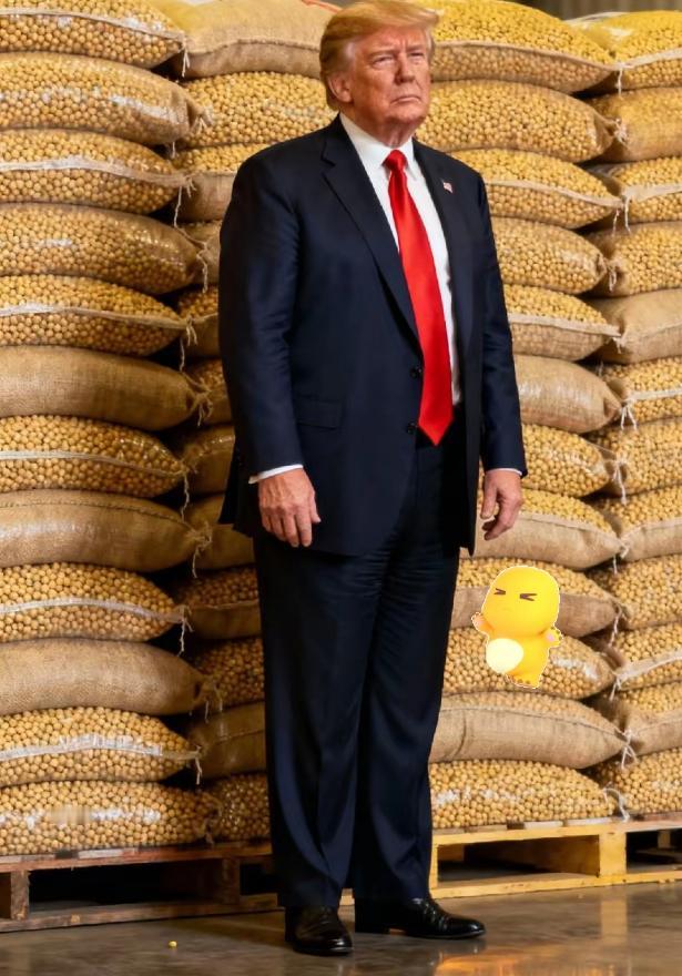 快讯！快讯!
美国农业部宣布
11月4日，美国农业部网站数据宣布：美国大豆出口量