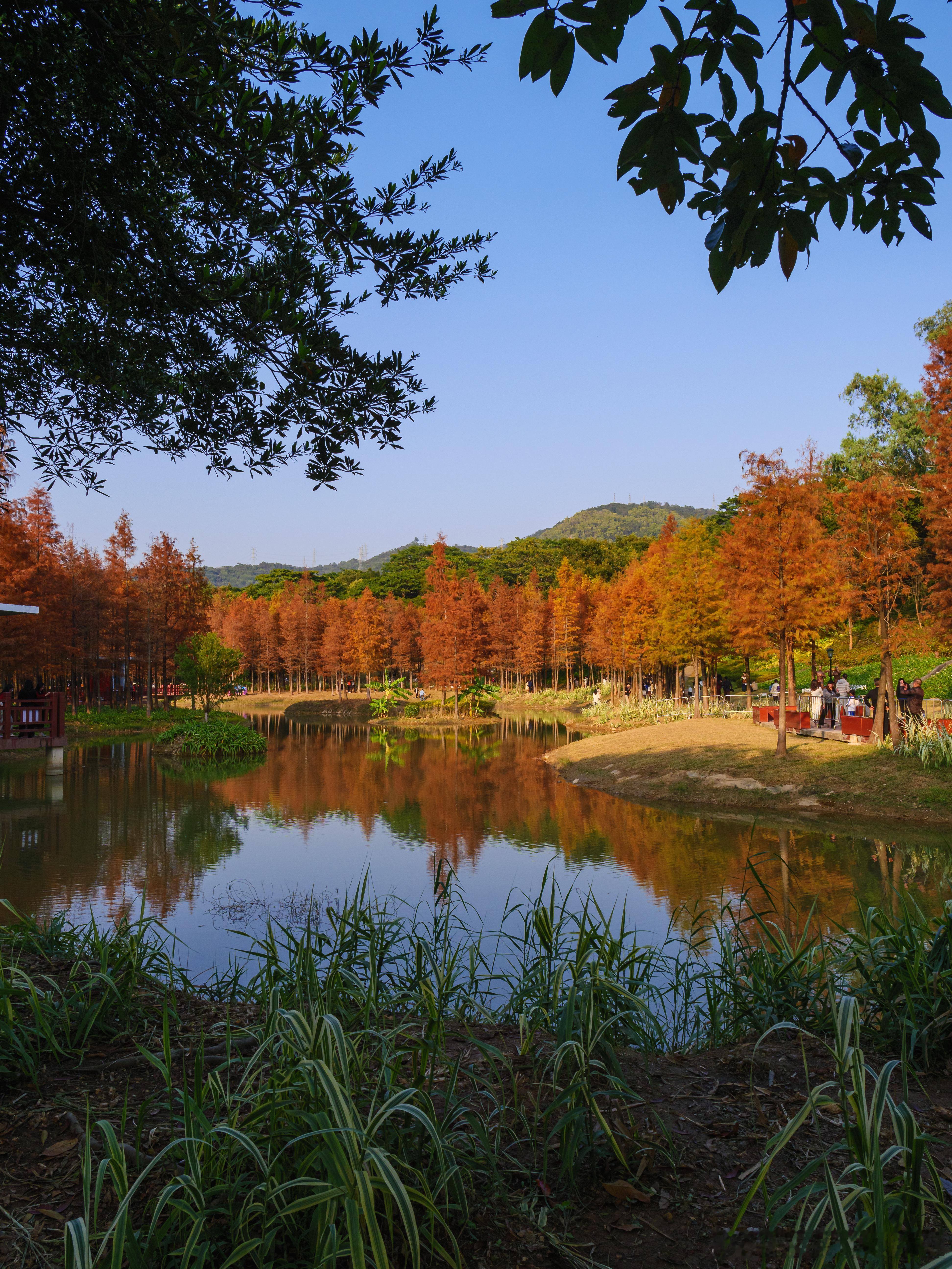 商业模式足够清晰，是投资人有兴趣投资的重要原因、商业模式要可量化，运营可复制，增