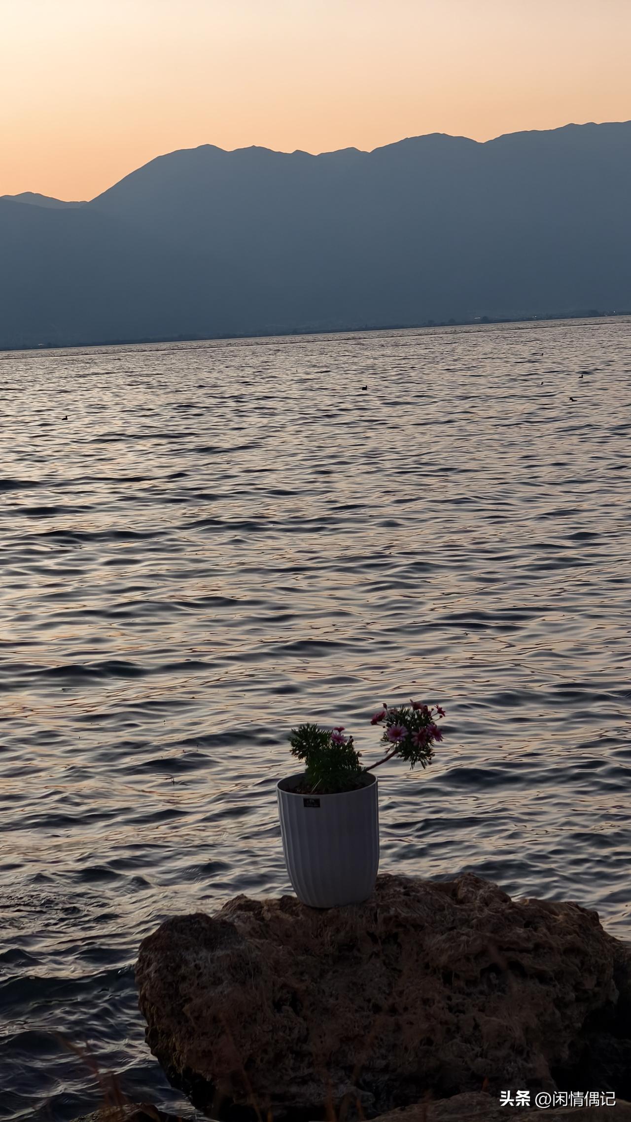 纵使被说坏话、被讨厌，也没什么好在意的，因为“对方如何看待你”，那是对方的课题。