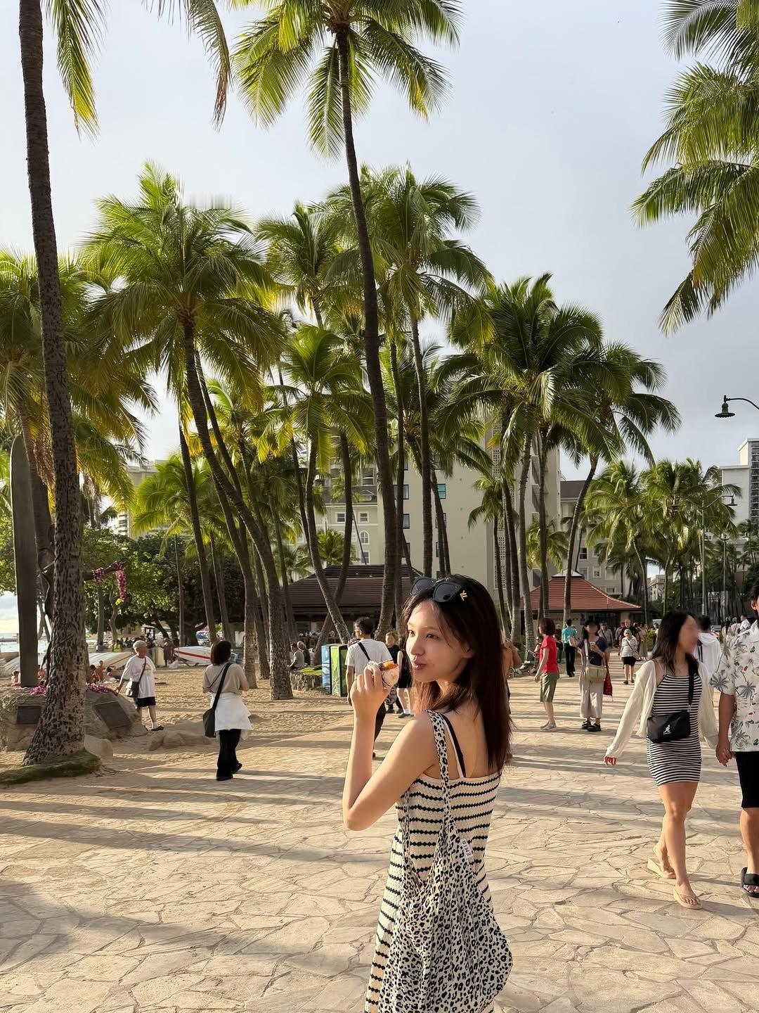 Liz金志垣 🌺🏝️ 