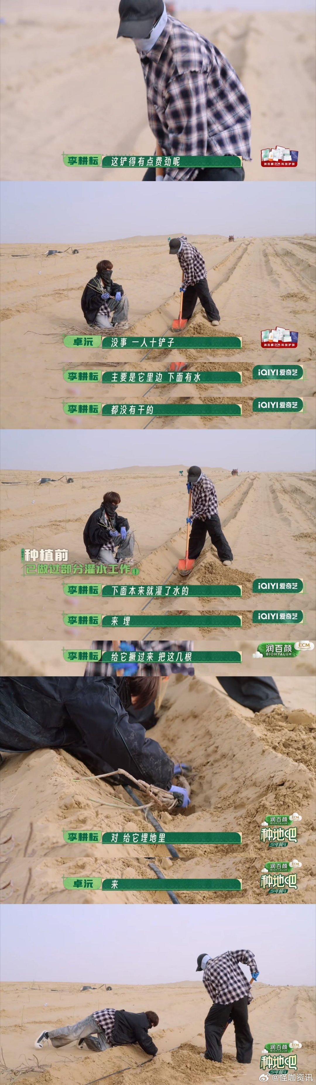 跟着十个勤天看沙漠种花 一双手，一片沙，一簇花，十个少年用行动改写大漠单调的底色