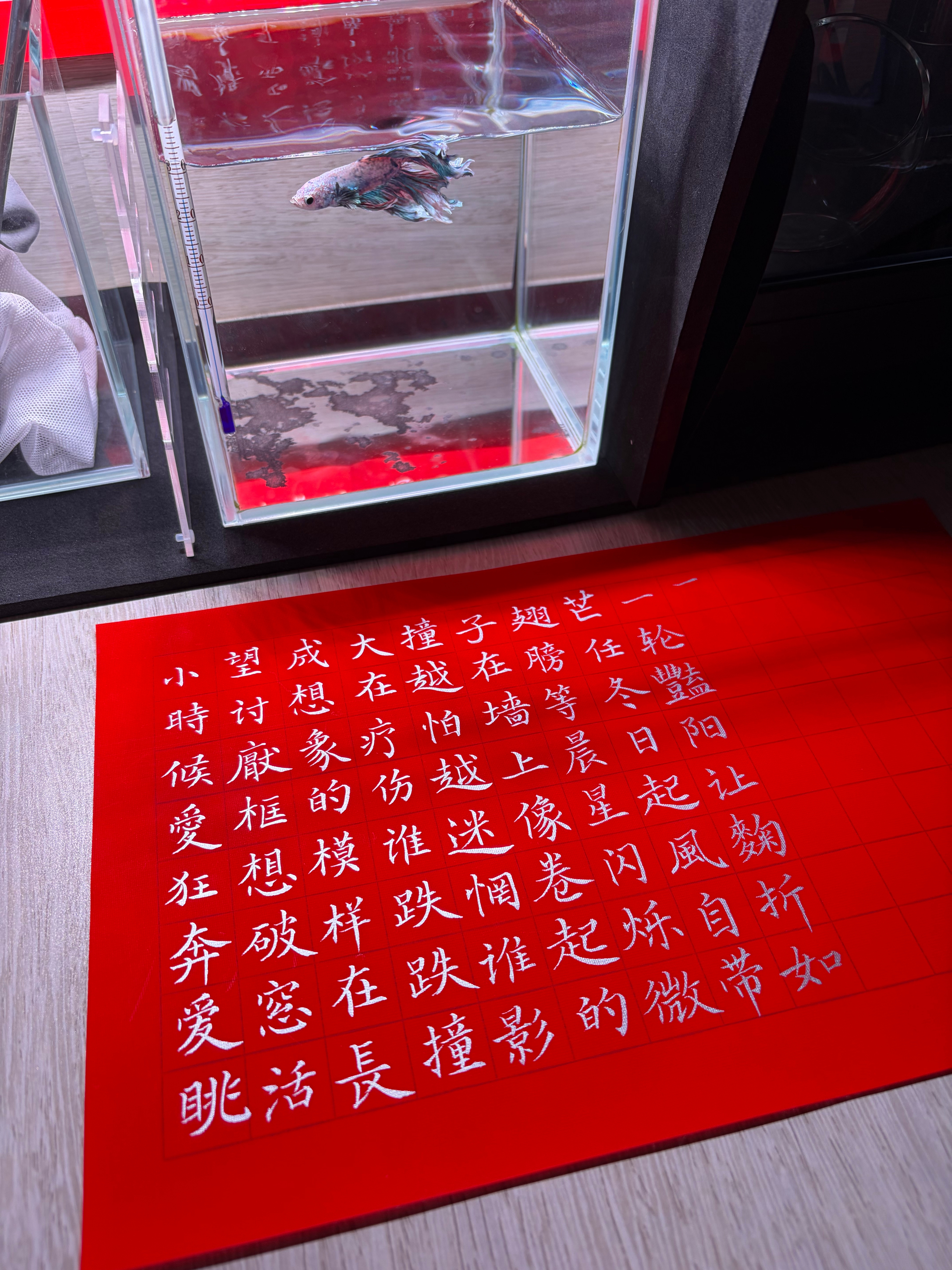 罗云熙[超话]  写完一页[嘻嘻]今天的练字就到这里了毛笔真不好用 没写多少笔头