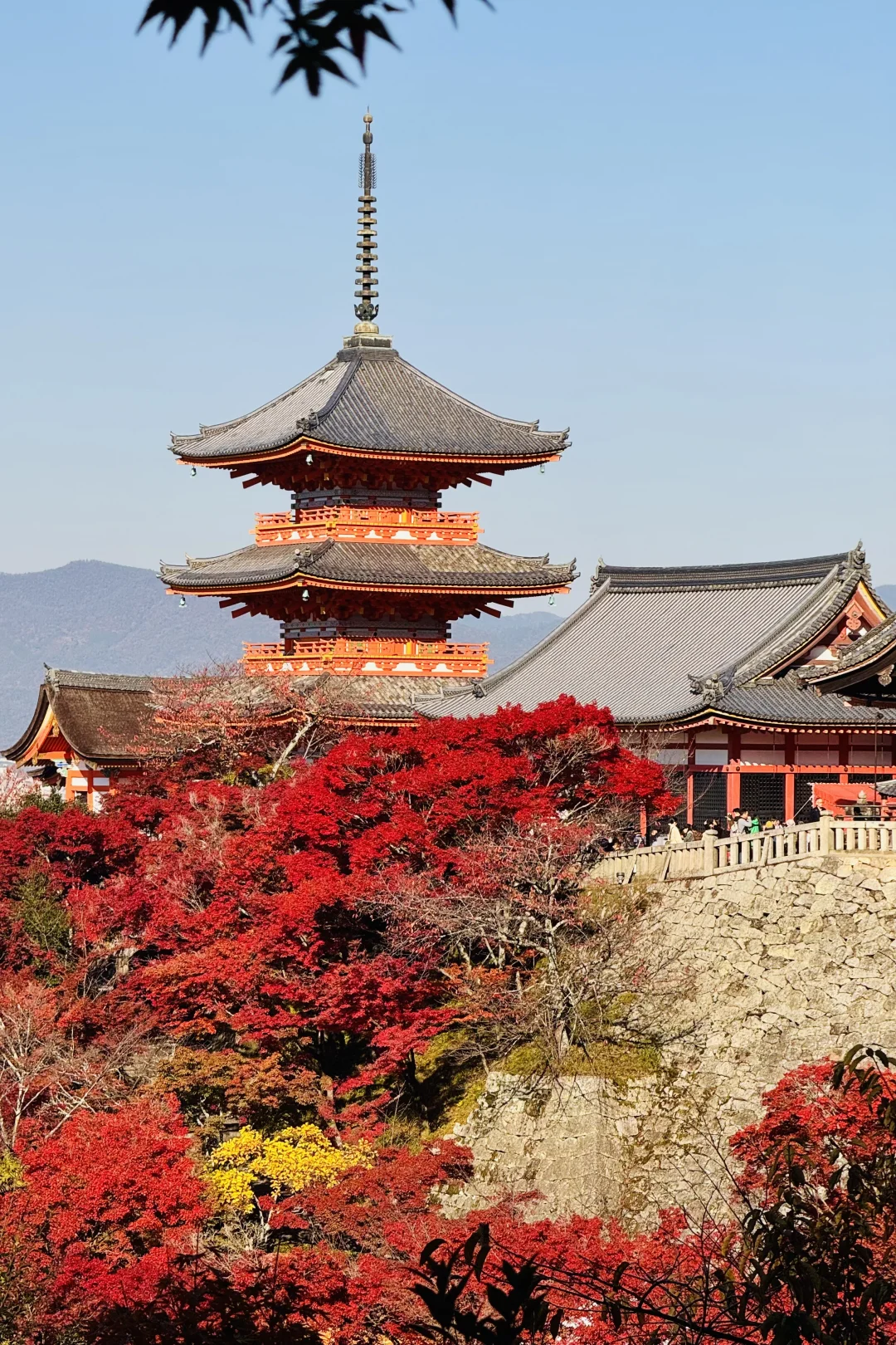 秋天的影像诗🍂🍂