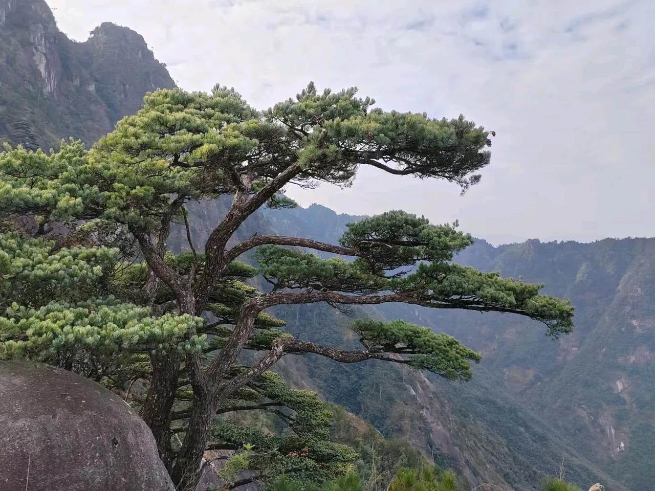 只带着秘书和司机，坐着面包车，不通知地级市委领导陪同，只通知县里分管农业的县委副