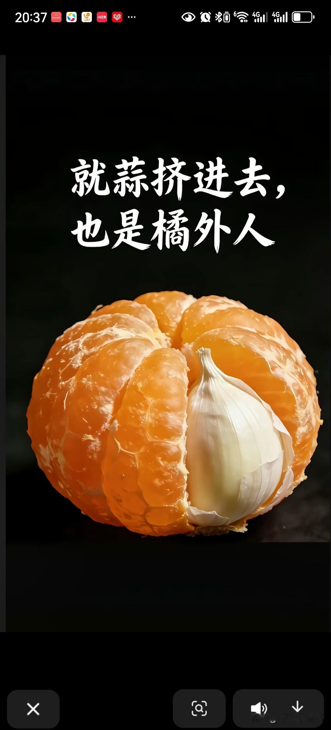 自己是自媒体的工作者。偶尔也看一下别人写的文章，发现越来越看不懂，很多都是文言文