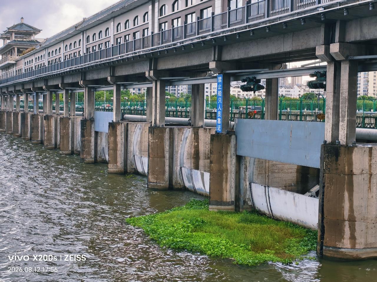 晒图笔记大赛坝桥小绿州：多日的大雨将上流的池塘溢出的杂草带入下流的堤坝，形成绿色
