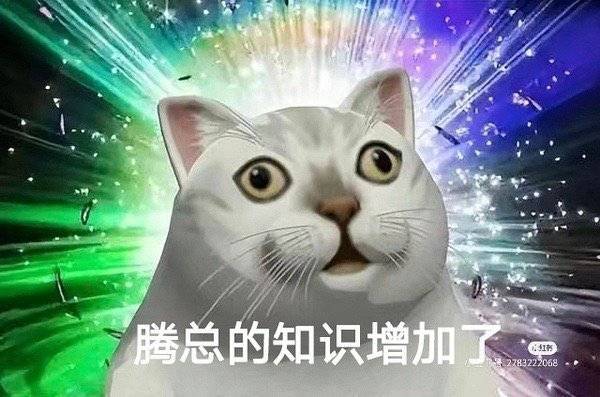 想知道樊振东的小秘密一个没套出来腾总的mbti还有过年回不回家我知道了连詹俊老师