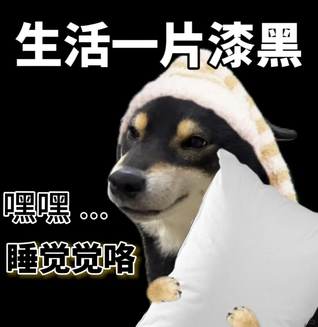 天塌下来了…嘿嘿…当被子盖算了😌