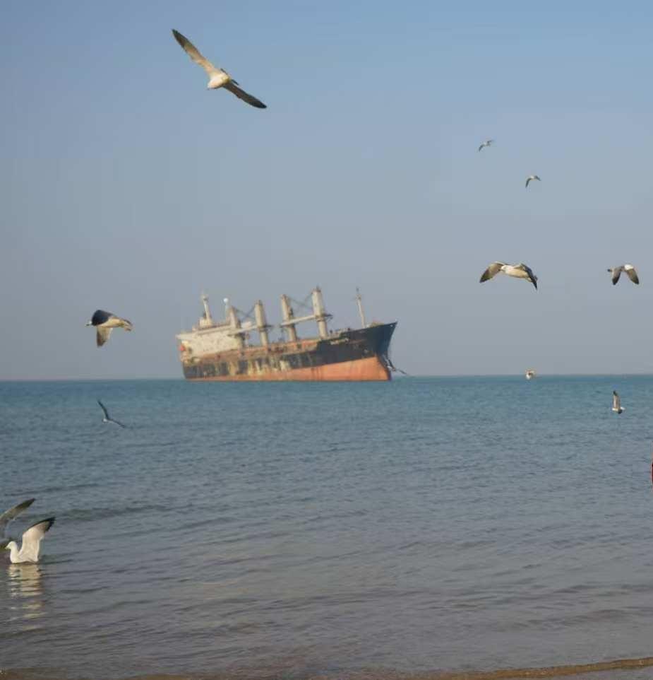 荣城之旅5——布鲁威斯号。一艘长190米，宽31米，意外搁浅在荣城海滩的轮船，没