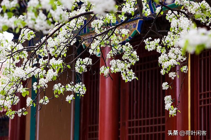 上联:梨花愁细雨;
下联:柳叶醉东风。
 友友来出下联 友友请留下下联 友友对出