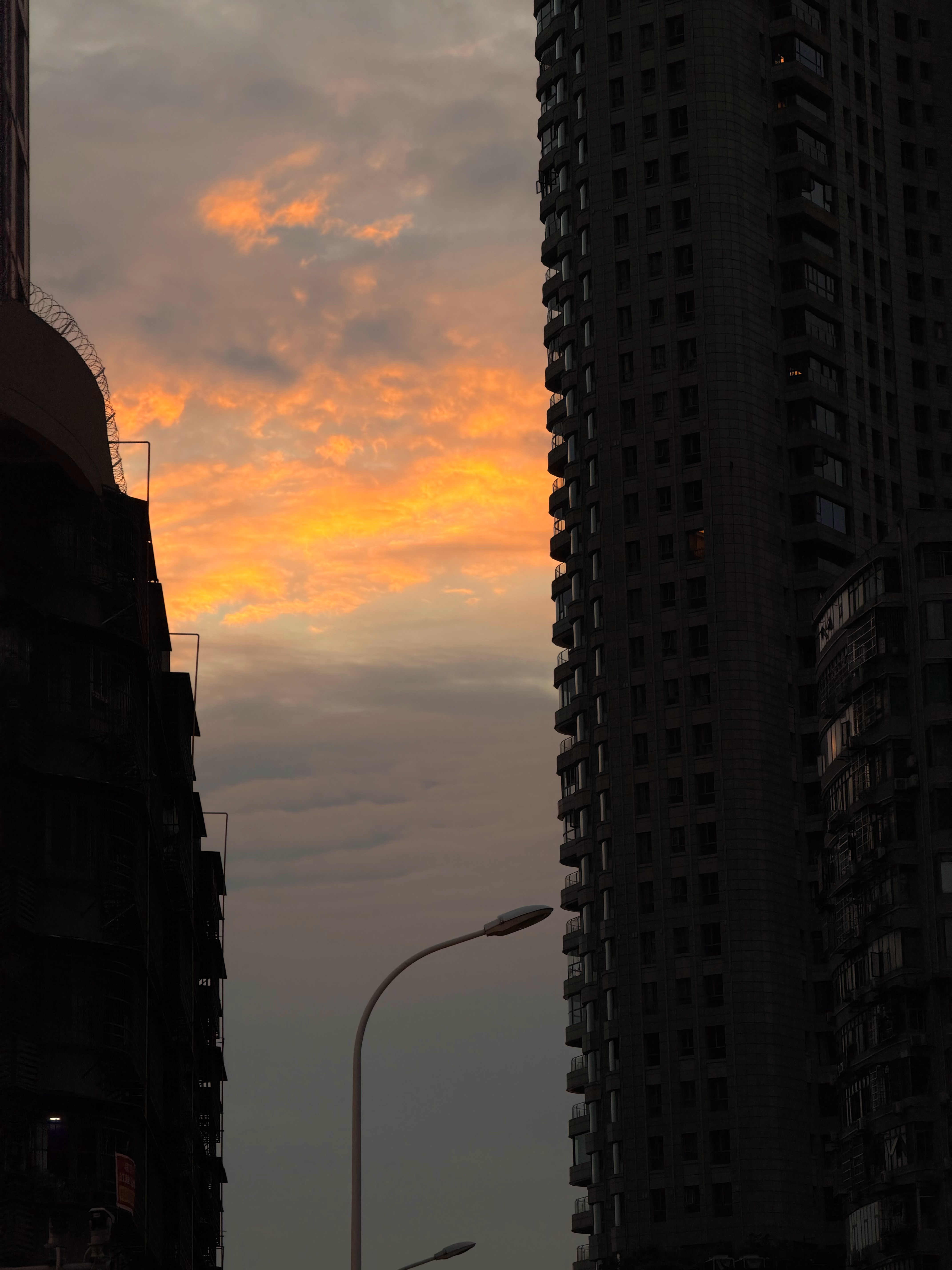 🌇 ​​​