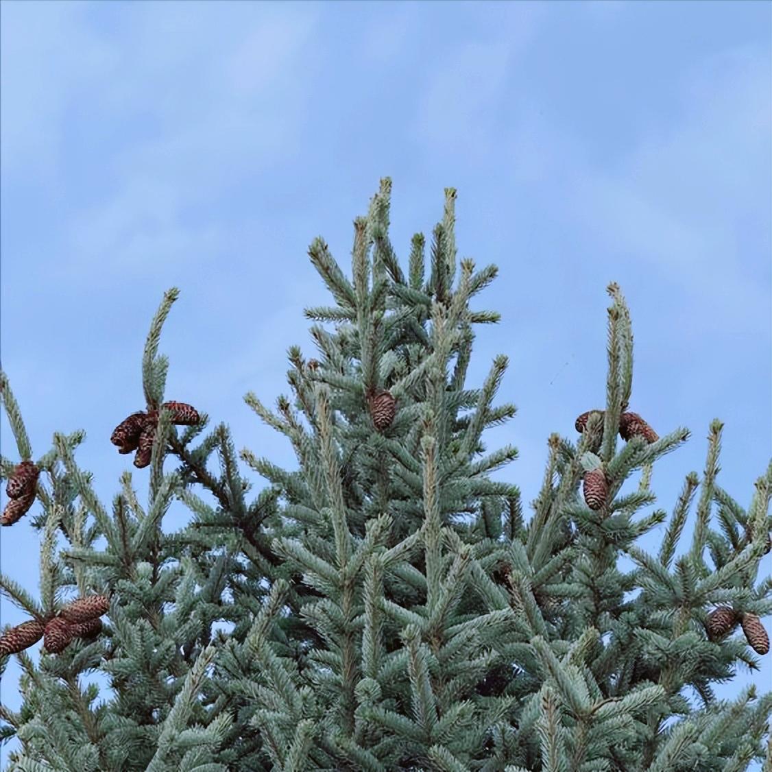 内蒙古：今日党纪政务处分2人   12月党纪政务处分总计7人
 
12月25日下