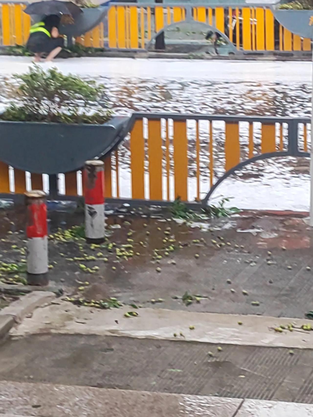 台风