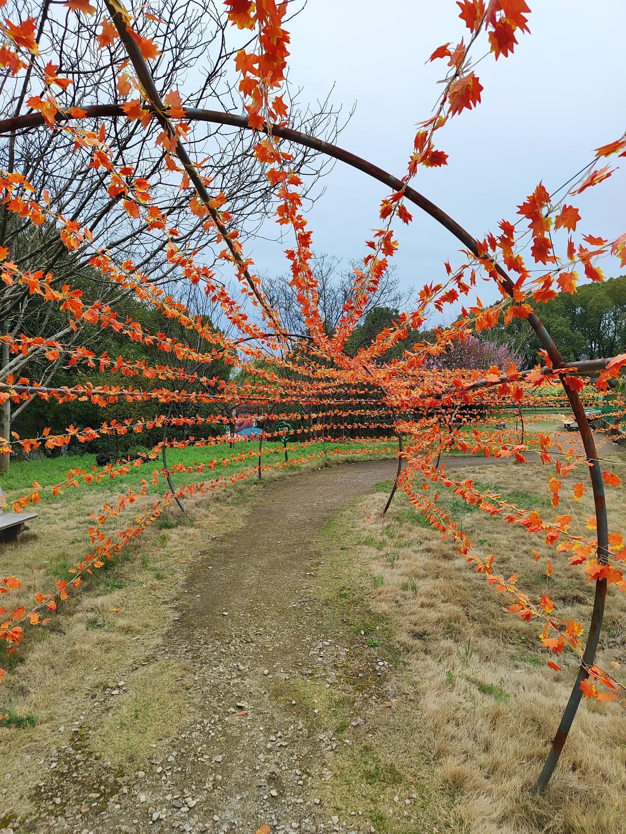 什么是“家”家，不是冰冷的房子，而是有人等、有饭香、有牵挂的归宿。是卸下所有防备