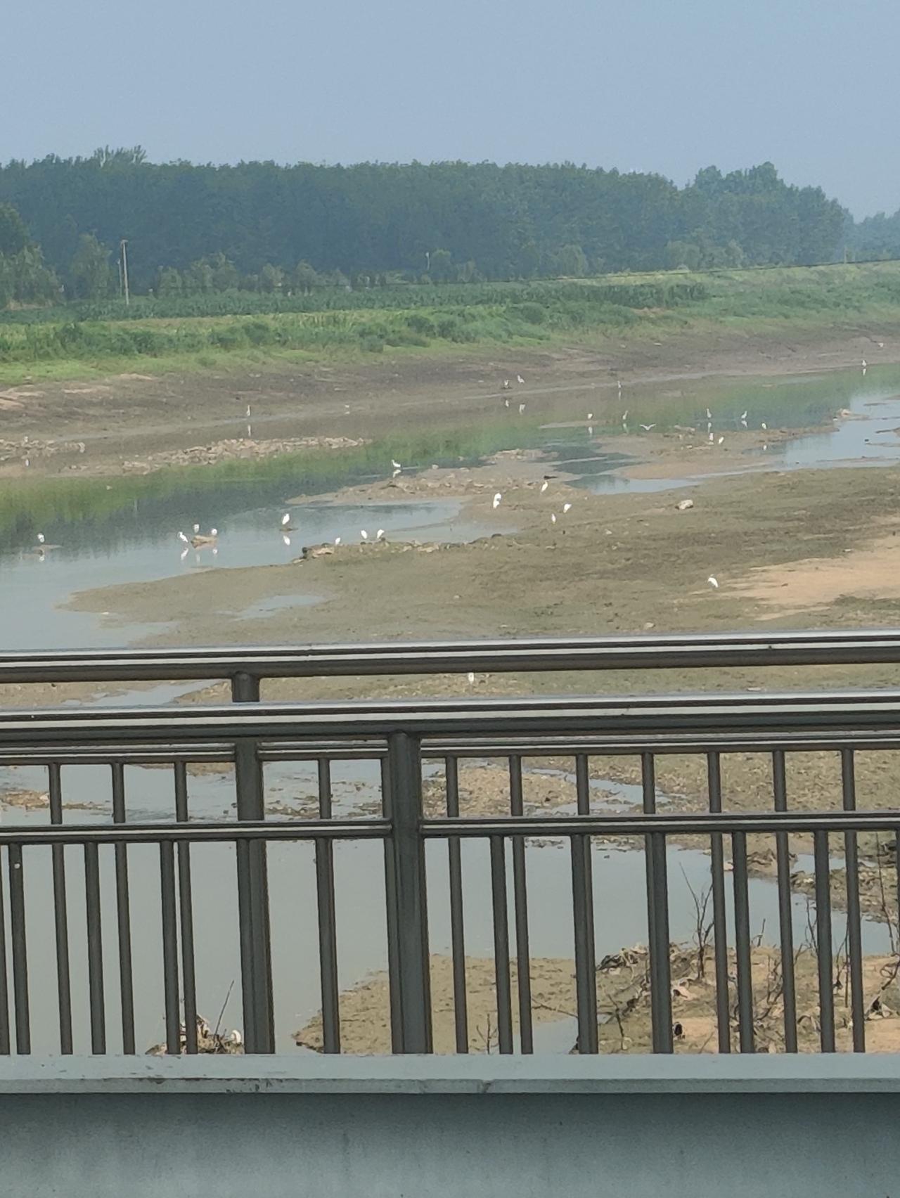观拦河坝上游凭栏远眺
 
凭栏一望大河悠，浅滩疏溪卧浅流。
点点白鸥栖软岸，层层