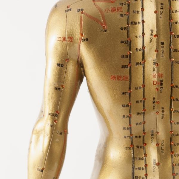 您知道吗？在广州地铁站里也可学养生知识

广州地铁文化（41）

地铁站里的养生