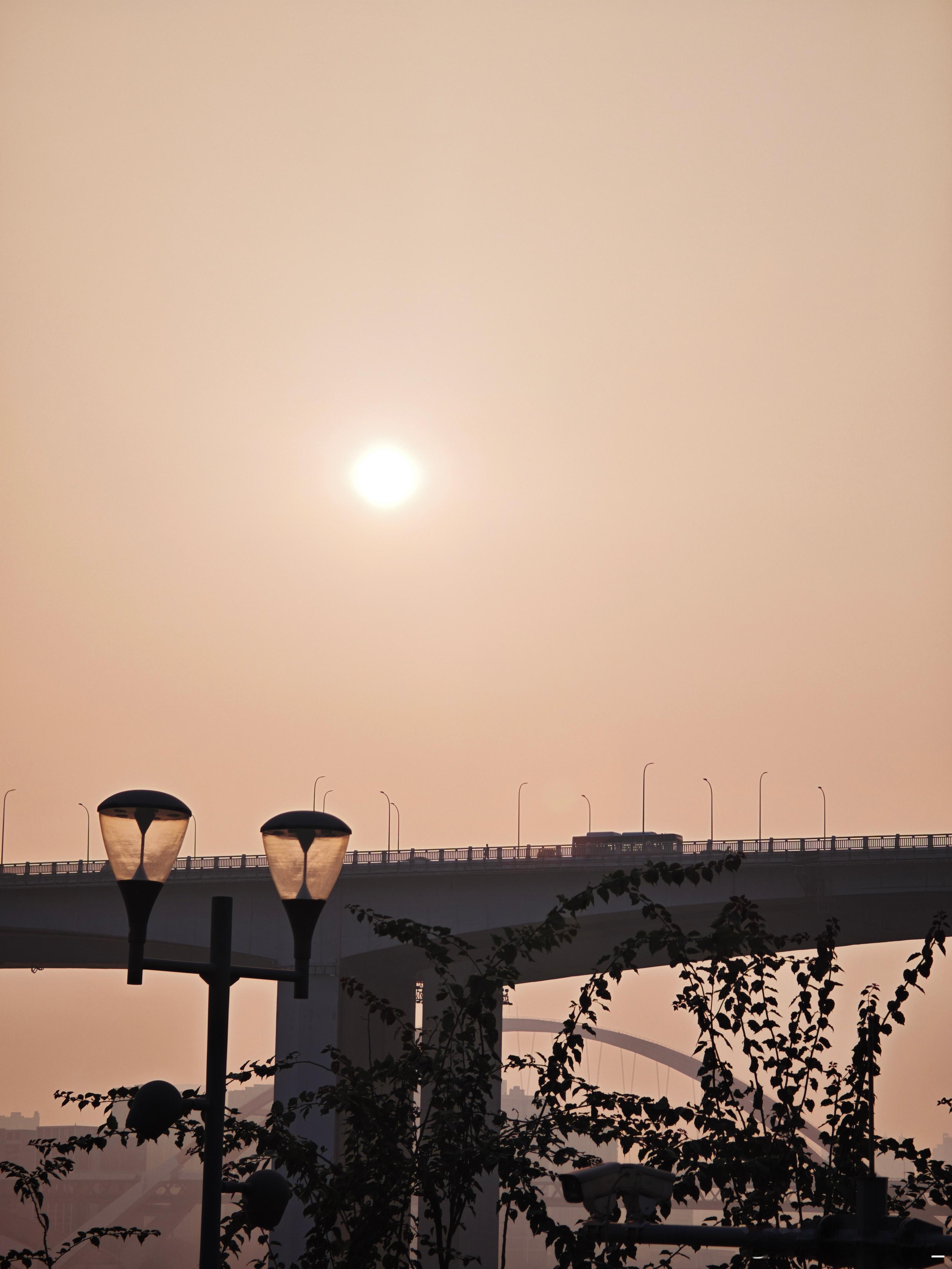 昨天带派派出去玩的照片