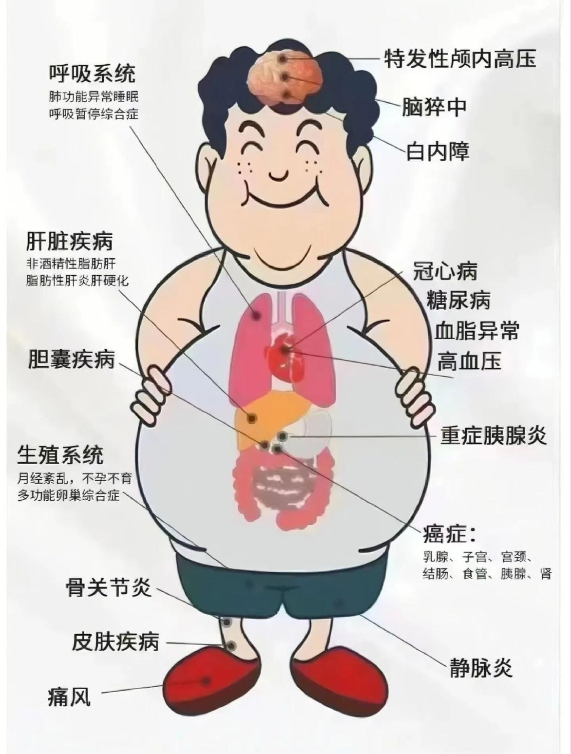 一张图看懂肥胖带来的危害。知道为什么现在越来越多人减肥吗？难道只是为了变美吗? 