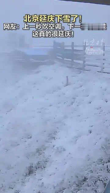 北京下雪对于我这个连雪的毛都看不到的广东人很不友好了。 