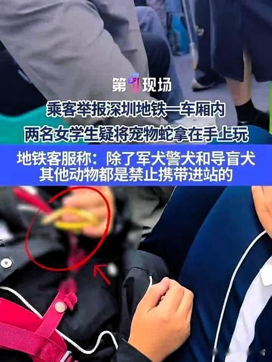 深圳地铁惊现活蛇闹车厢，女子当众玩蛇引争议？官方回应暗藏深层顾虑

昨儿刷到个深