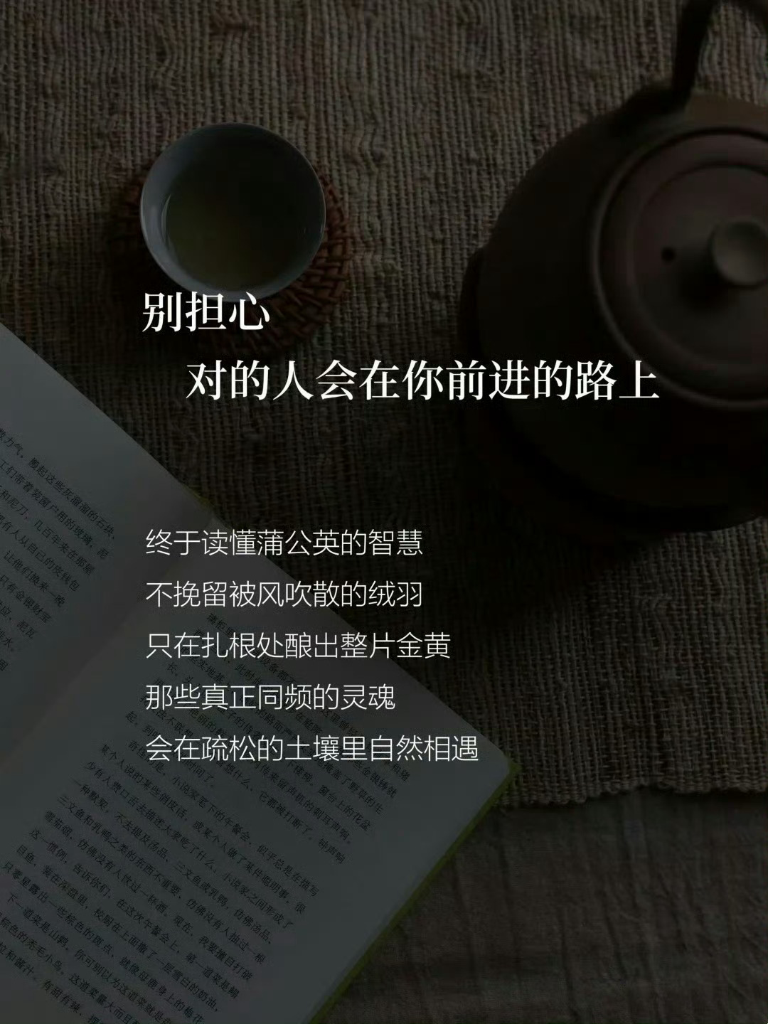 人到中年，不再用力走向任何人 