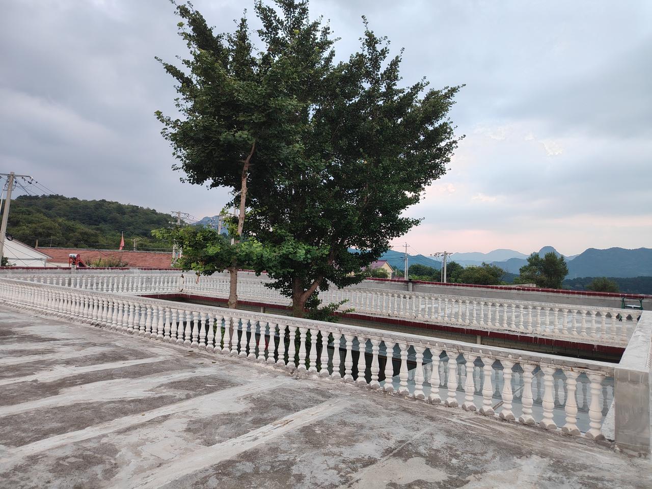 晒图笔记大赛微光成炬：点滴善行，汇聚成光。心学强调事上练，小善亦是大德。禅语：勿