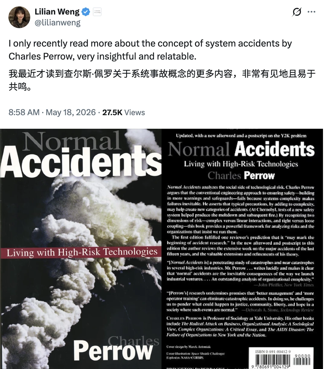 翁荔称赞的Normal Accidents核心讲什么？
