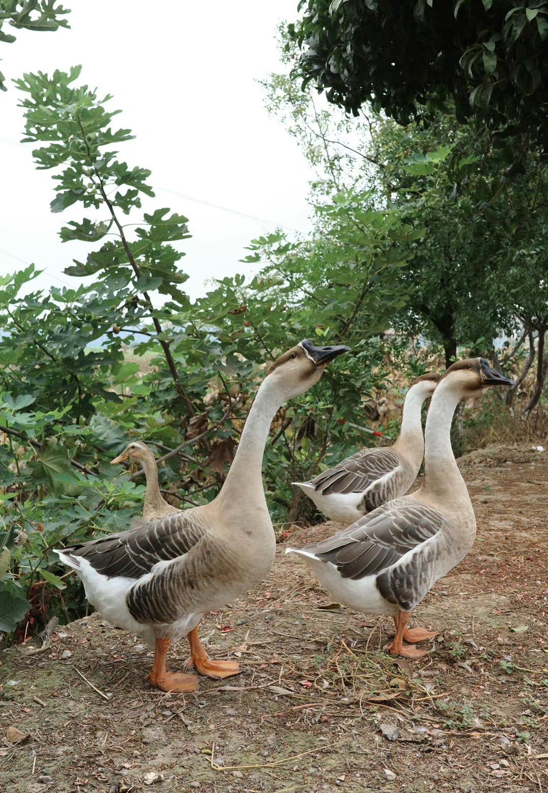 你有趣，这个世界就有趣。