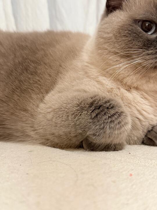 今天我就把话撂这了！