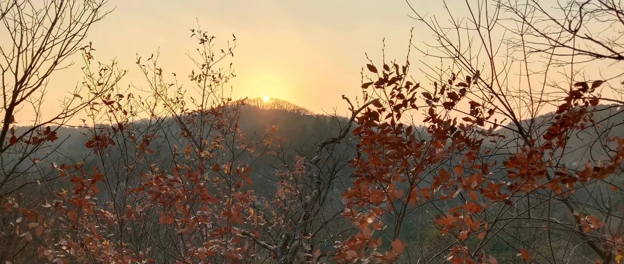 要买在黎明前的黑暗        周末下午，看起来还是艳阳高照。当我花半小时从山