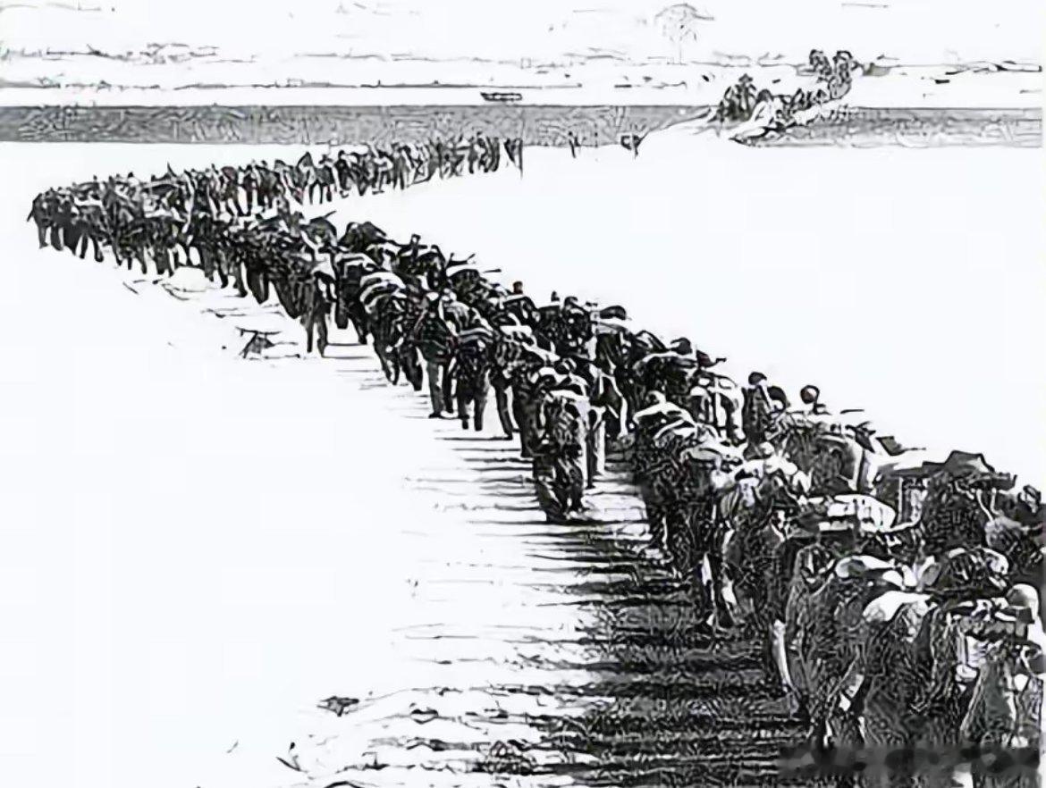 【给中国人民志愿军的命令(节录)】中国人民志愿军各级领导同志们:       (