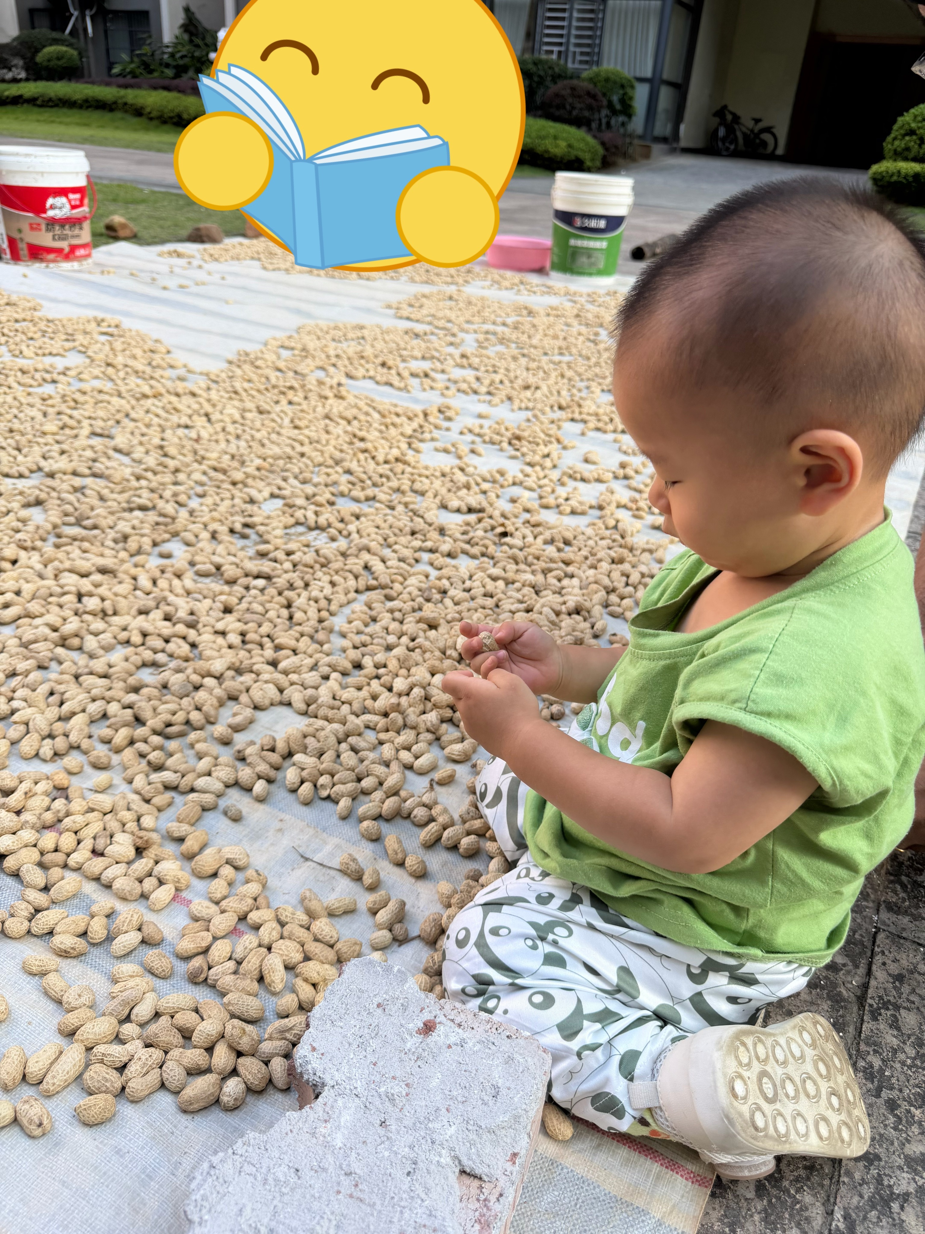 要是在市区，怕是玩不到这个咯