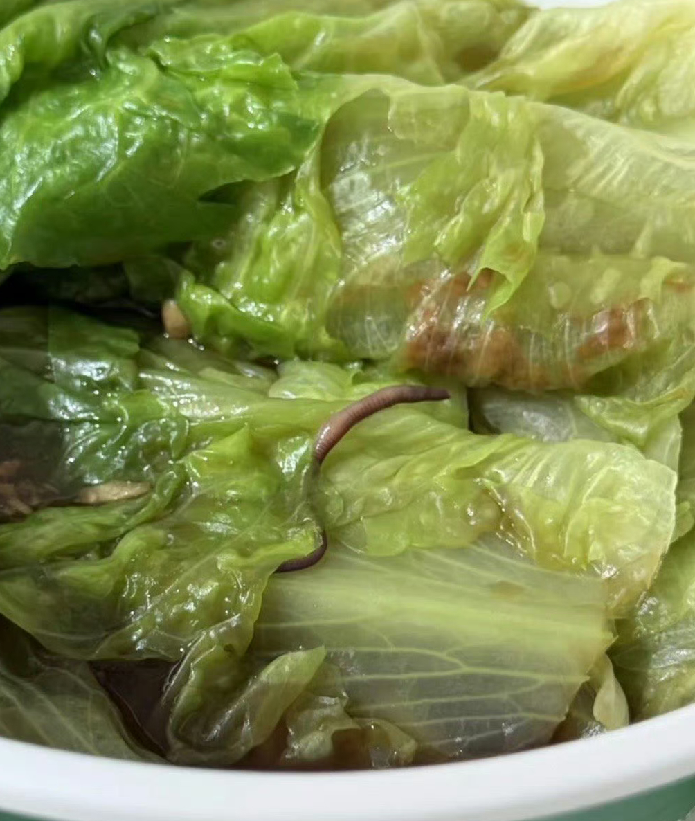 这明显就是生菜没戏就直接上桌的，在外饮食一定要注意食品安全问题并及时用法律争取自