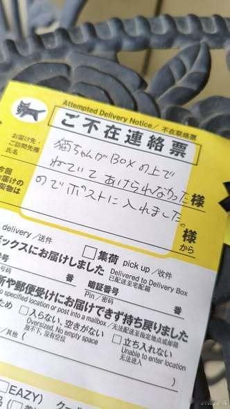 送货员说明包裹无法投递是因为收件箱上有只猫
