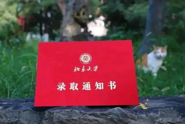 发誓不扒拉别人晒的录取通知书却没有用。
网络上每天晒录取通知书的多如牛毛，我不厌