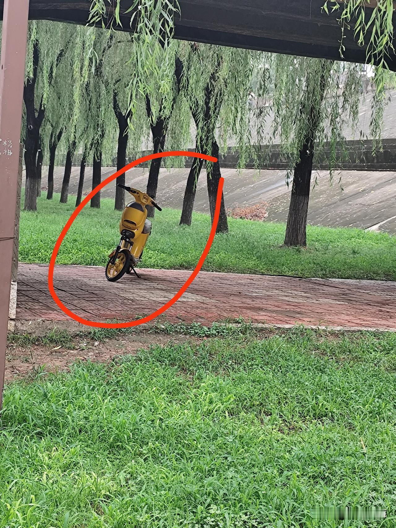 有人竟把共享电单车骑到河堤下方的便道上，随手一扔就不管了！
这辆小黄车丢在这里整